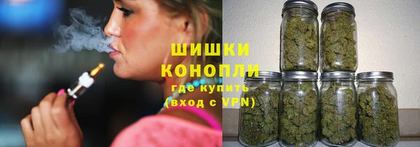 трава Гусиноозёрск