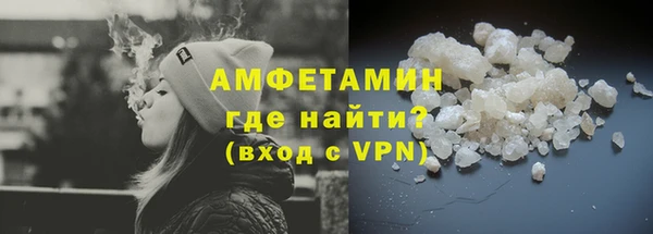 трава Гусиноозёрск