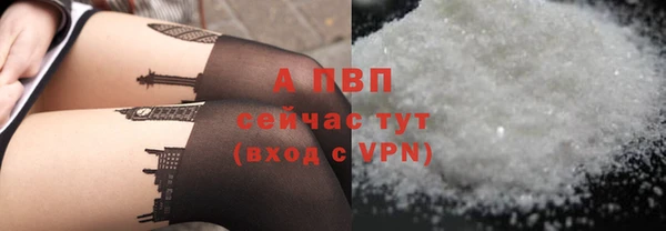 трава Гусиноозёрск