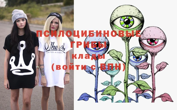 MDMA Гусев