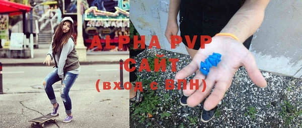 трава Гусиноозёрск