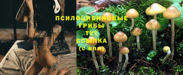 трава Гусиноозёрск