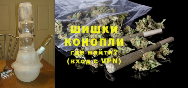 трава Гусиноозёрск