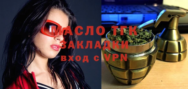 ECSTASY Гусь-Хрустальный