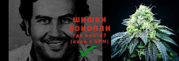 трава Гусиноозёрск