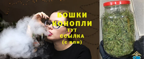 ECSTASY Гусь-Хрустальный